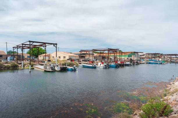 La Casa Tranquilia Chez Vero Et Jj Studio A Marseillan Zewnętrze zdjęcie